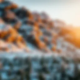 The intersection of Avalanche technology and Amazon's business innovation