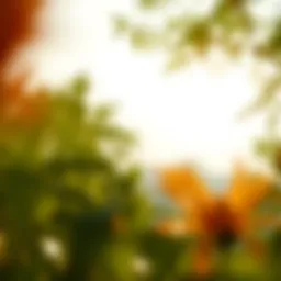 비트코인 개인지갑 만들기 Introduction