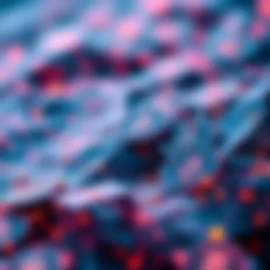 An abstract view of decentralized ledger applications