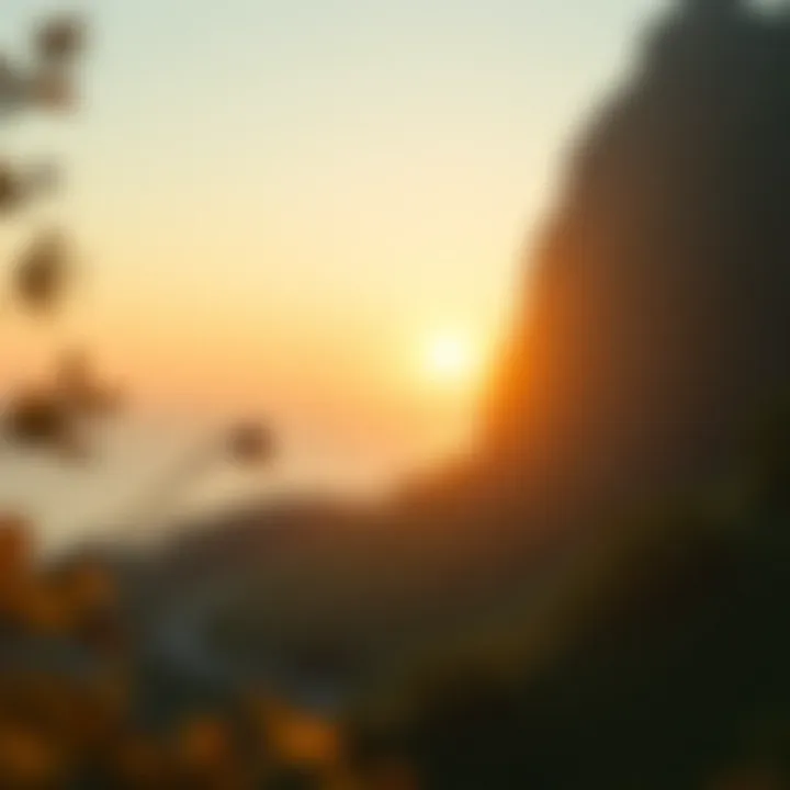 Potential of the Conflux ecosystem