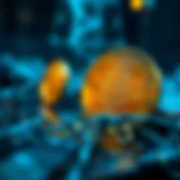 Conceptual representation of immutability in blockchain technology