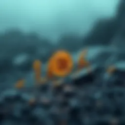 Symbolic representation of cryptocurrency evolution
