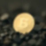 Conceptual representation of SafePal Coin