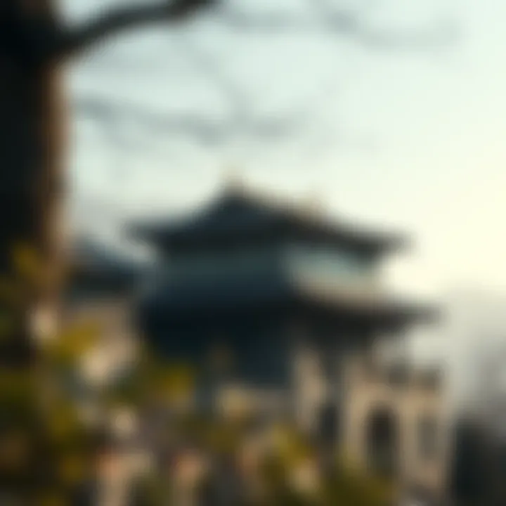 Historical background of SEI Scan