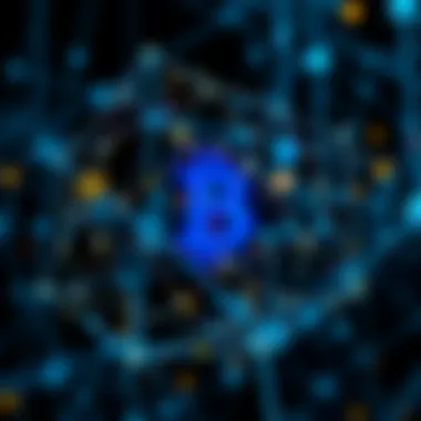 Different types of blockchain networks